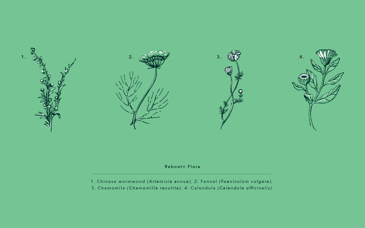 Reboot Illustrations